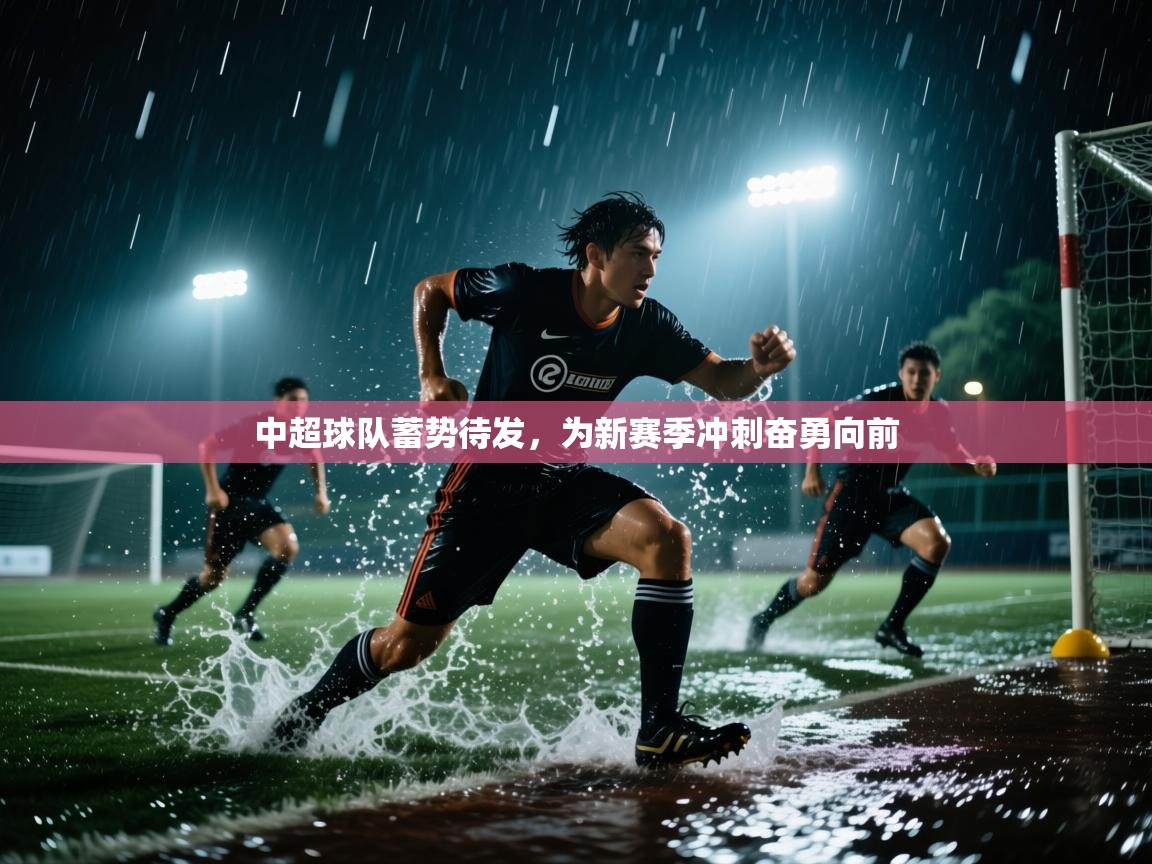 中超球队蓄势待发,为新赛季冲刺奋勇向前 第1张