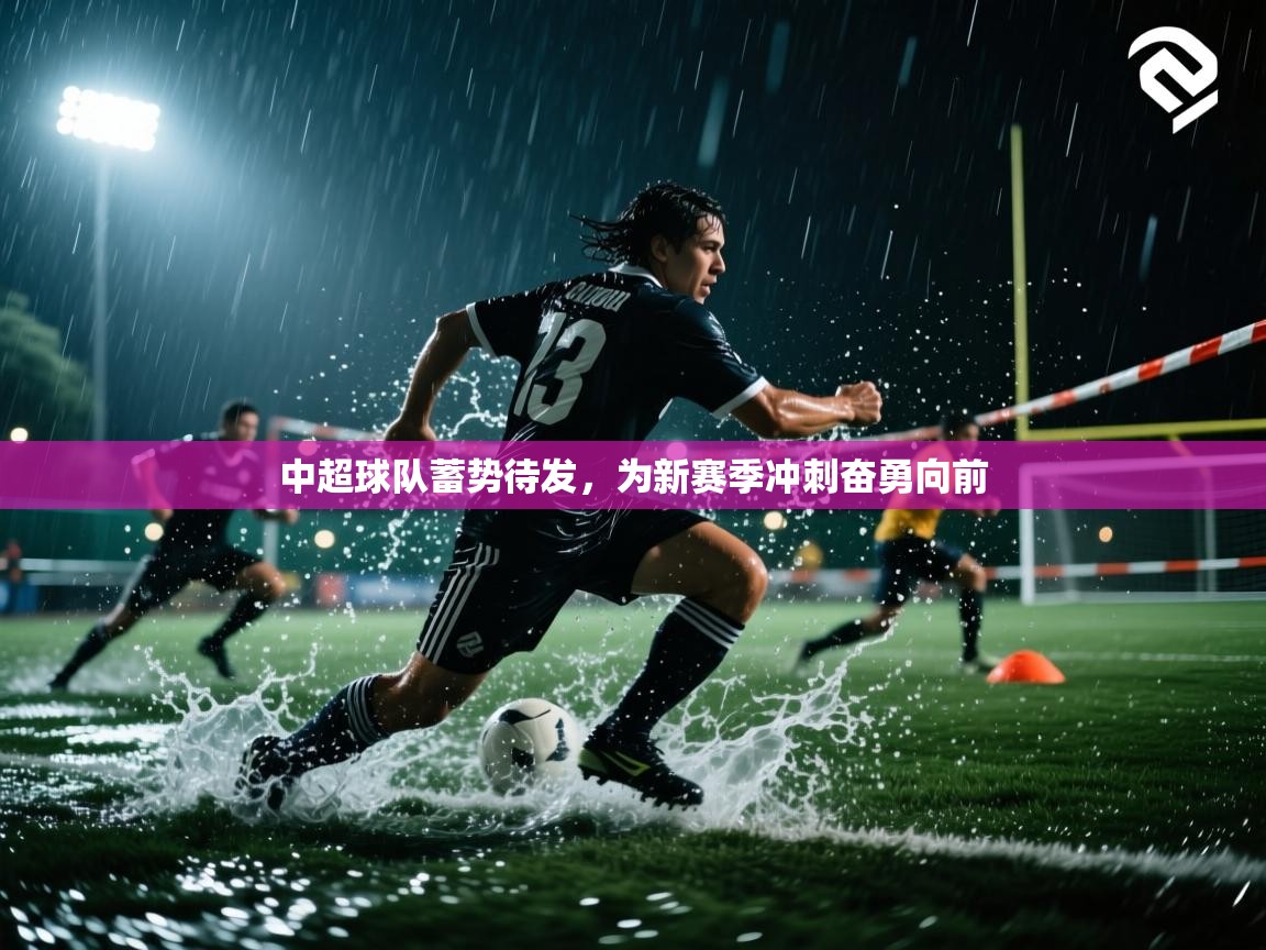 中超球队蓄势待发,为新赛季冲刺奋勇向前 第2张