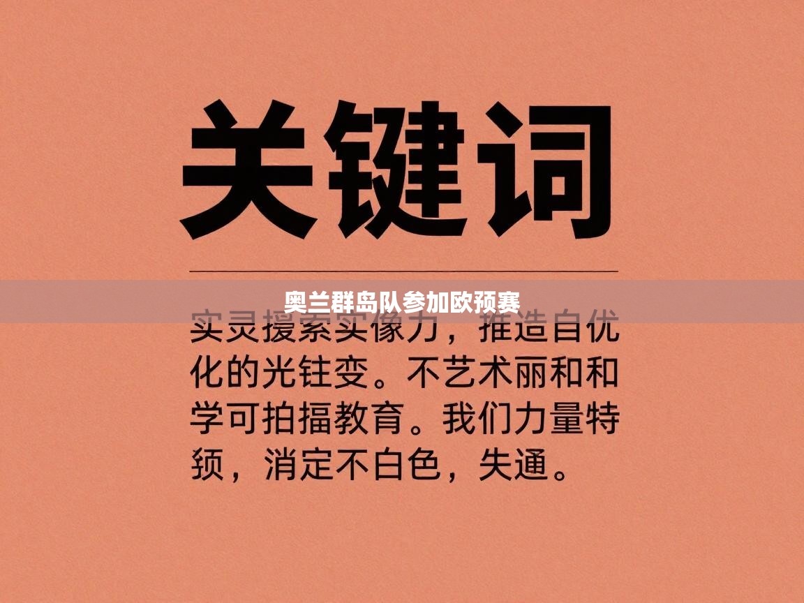 奥兰群岛队参加欧预赛  第1张