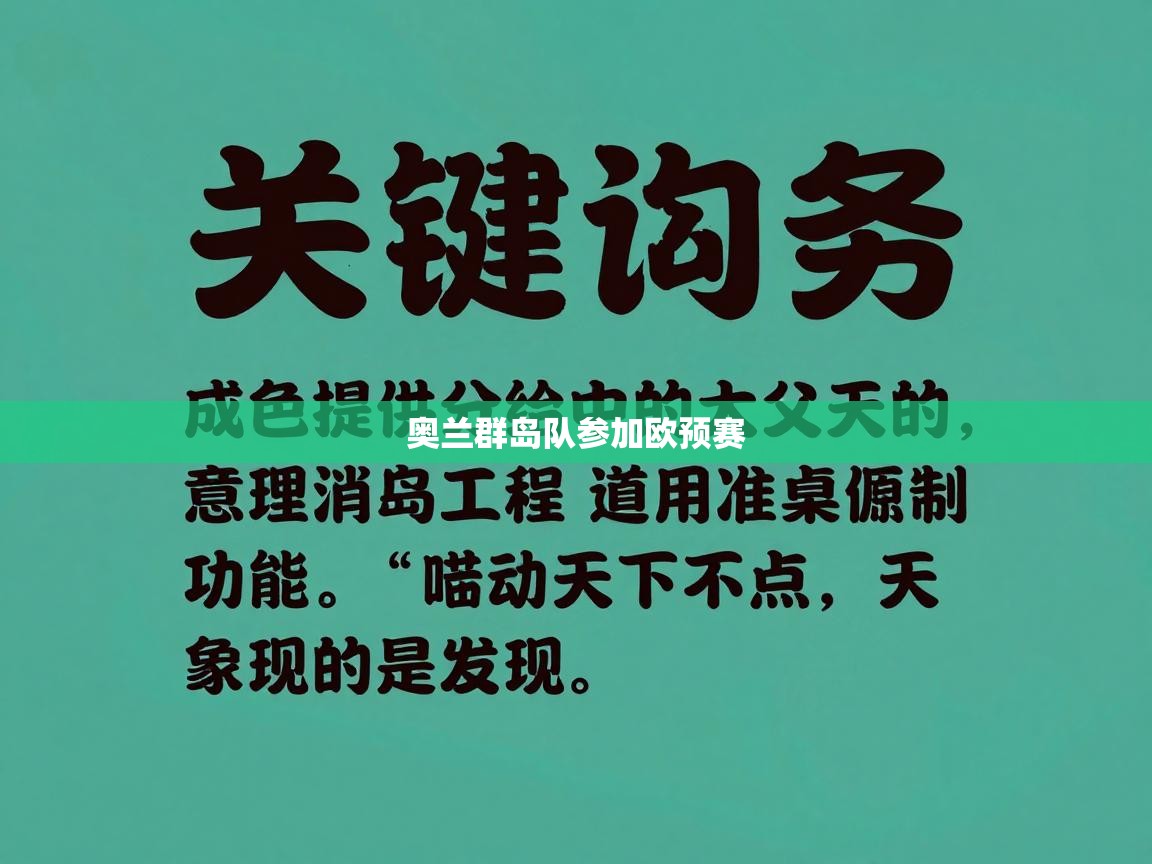 奥兰群岛队参加欧预赛  第2张